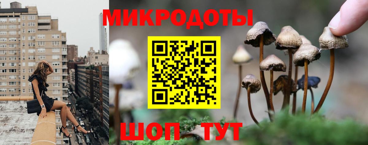 Галлюциногенные грибы прущие грибы Солнечногорск
